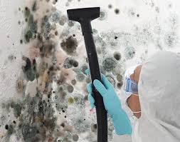 Why You Should Choose Our Mold Remediation Services in Dunn, NC